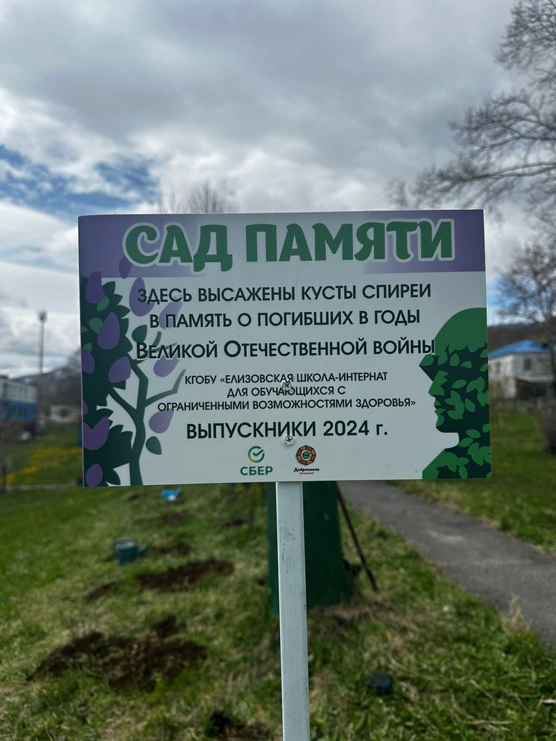 Сад памяти 2024..